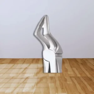 TOOTH FORCEPS ERGONOMIC