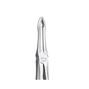 TOOTH FORCEPS PREMIUM