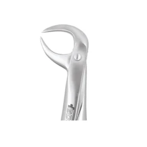 TOOTH FORCEPS PREMIUM
