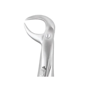 TOOTH FORCEP STANDARD