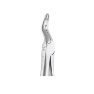 TOOTH FORCEPS SECURE